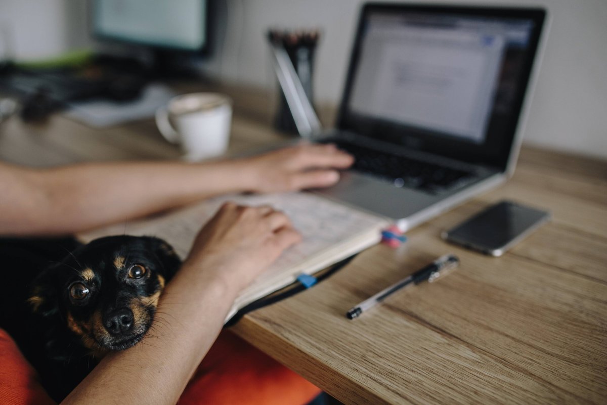 Животные и технологии