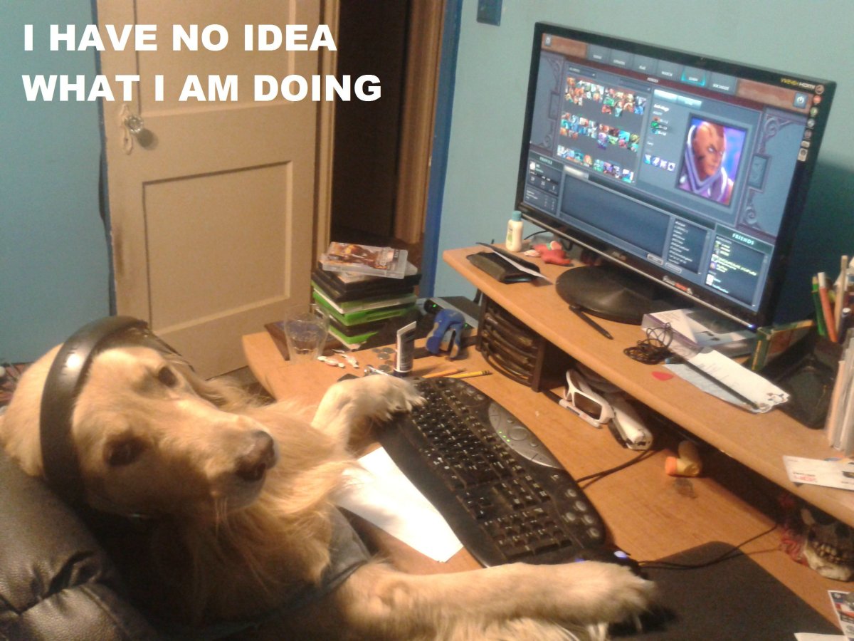 Собака играет за компом