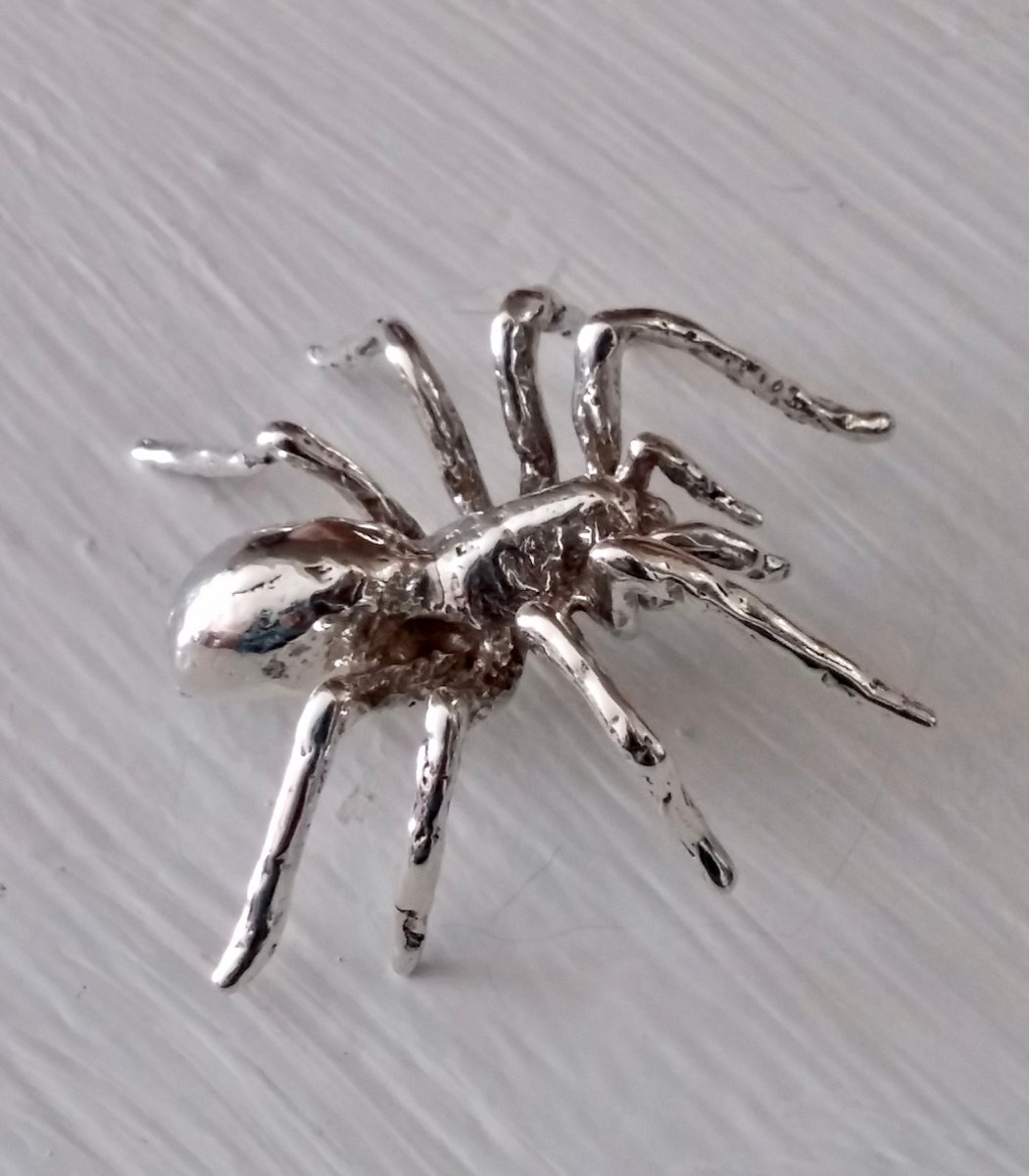 Паучок серебристого цвета