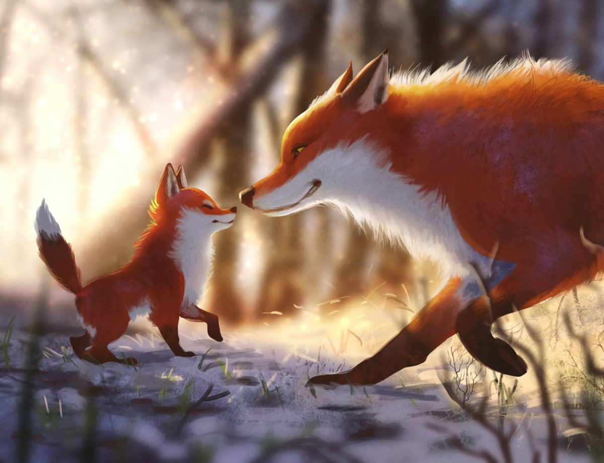 Лисы арты