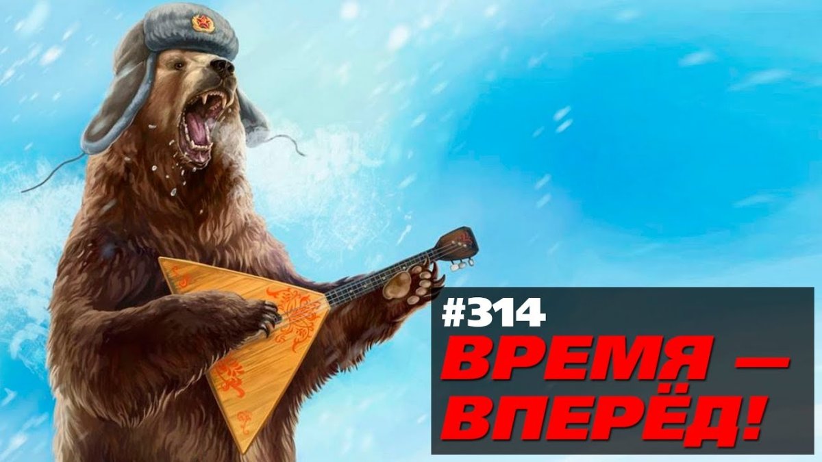 Медведь в ушанке