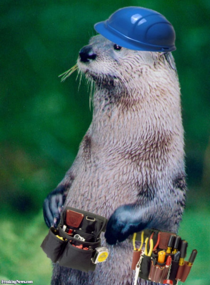 Выдра в шапочке