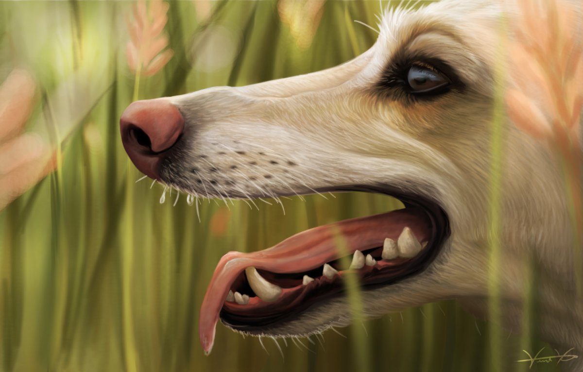 Собака с открытой пастью