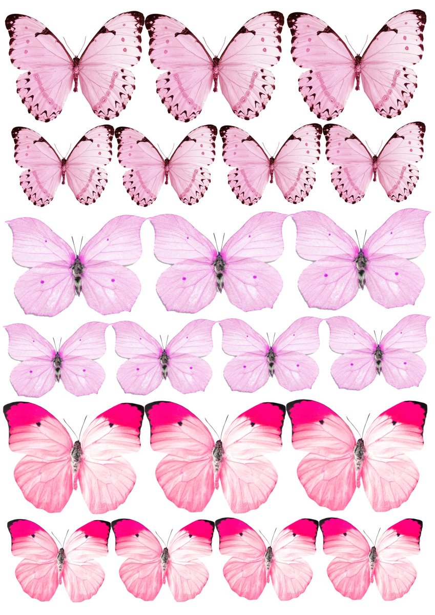 Розовые бабочки