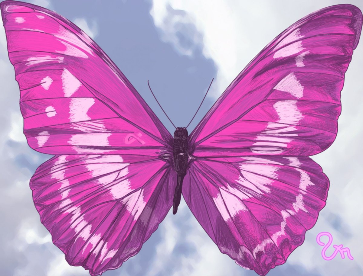 Роза и бабочка