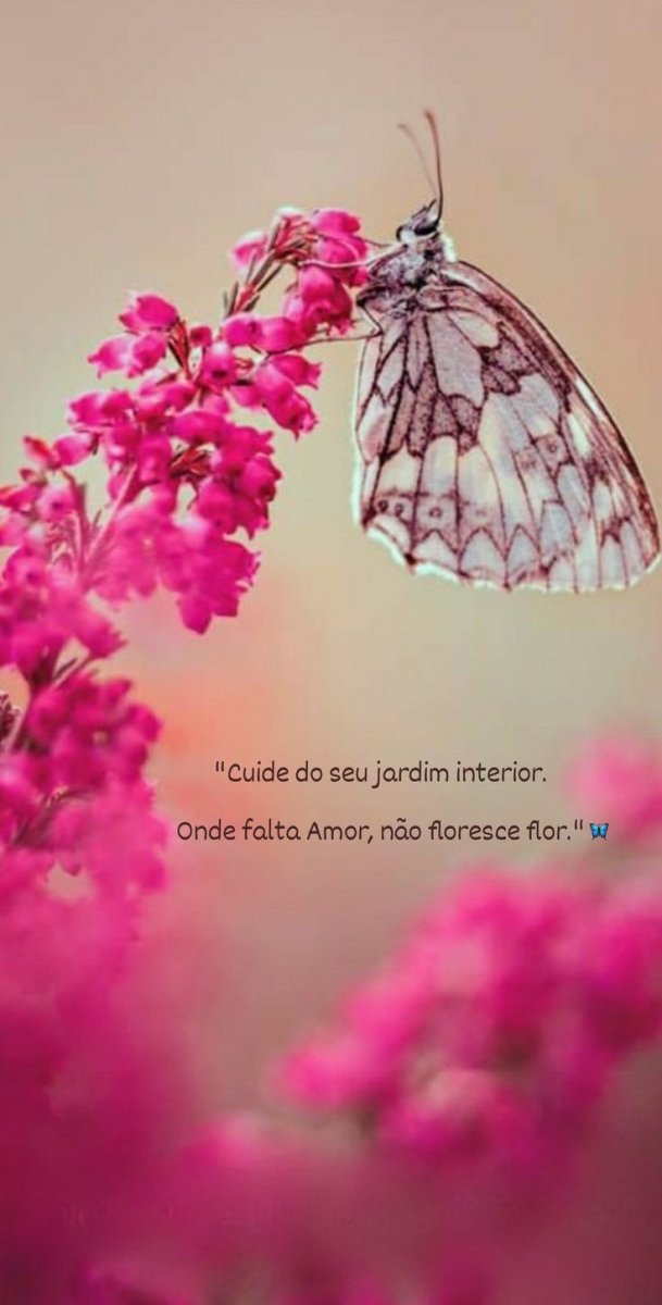 Розовые бабочки