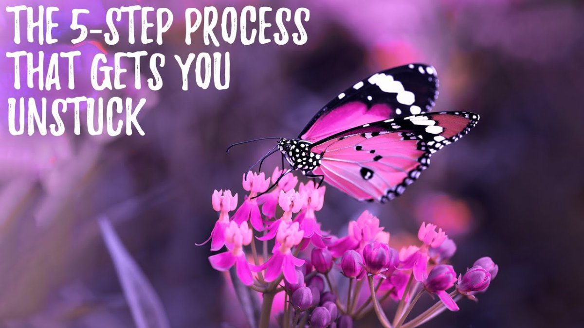 Фотография розовая бабочка