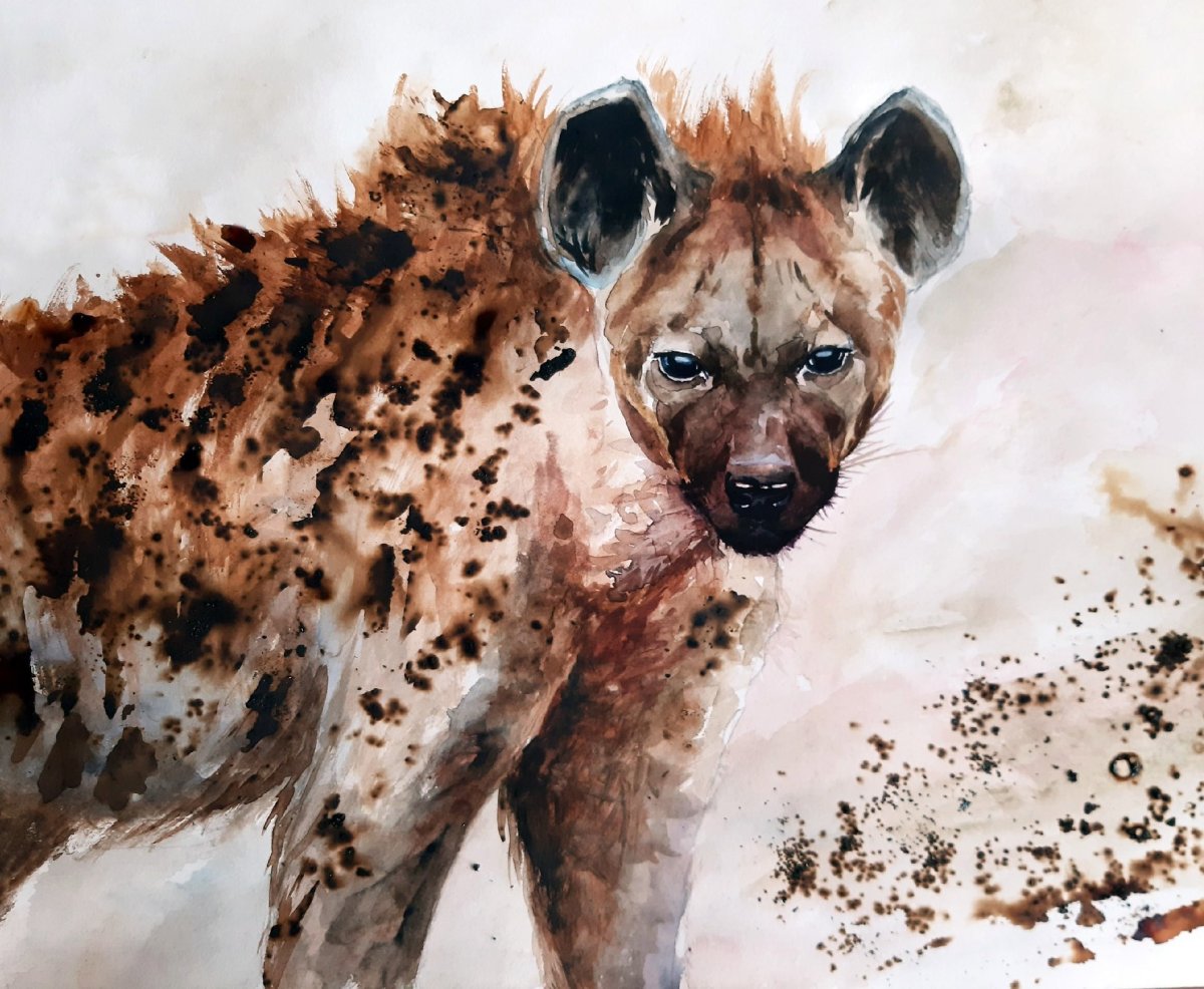 Гиена акварель