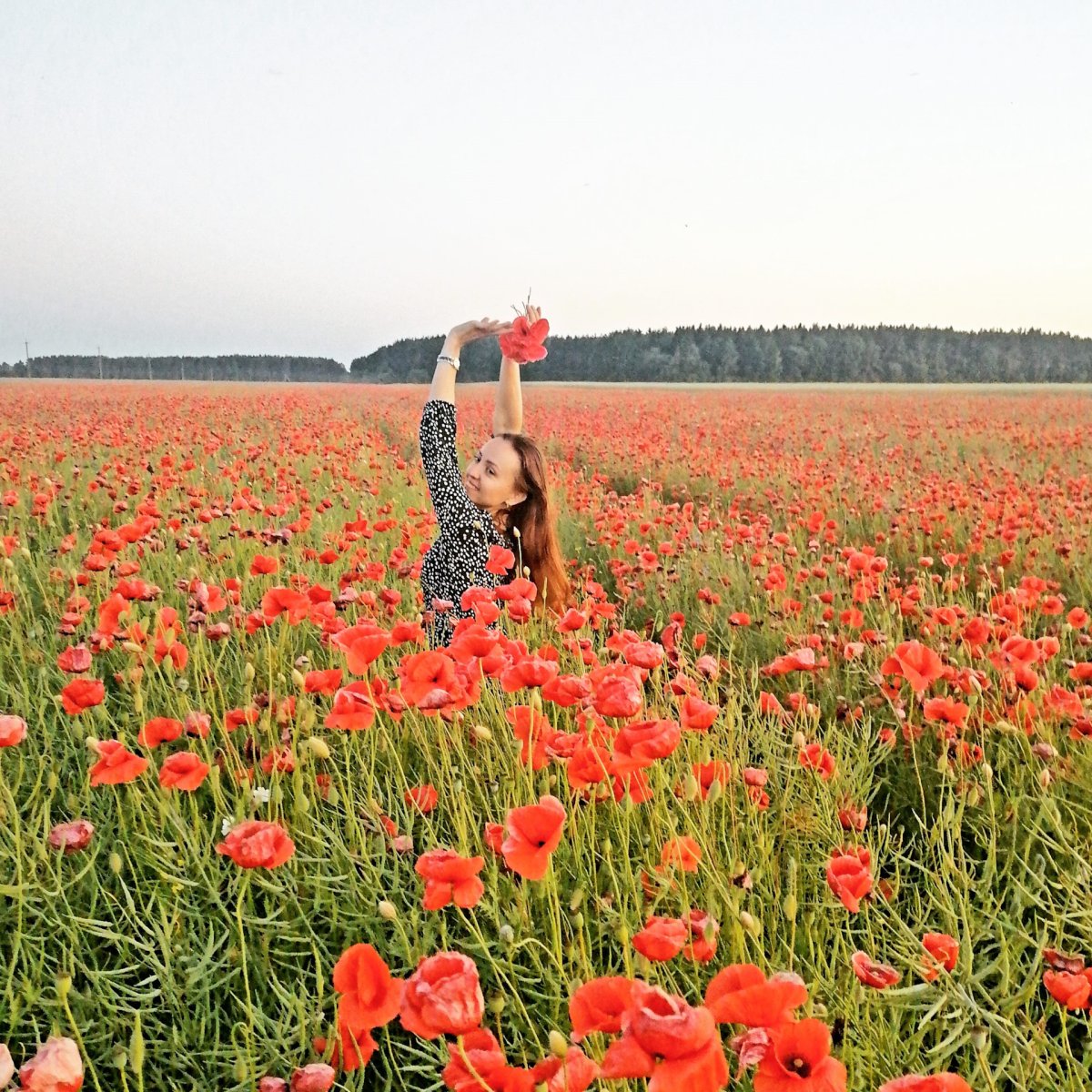 Маковые поля в Таджикистане