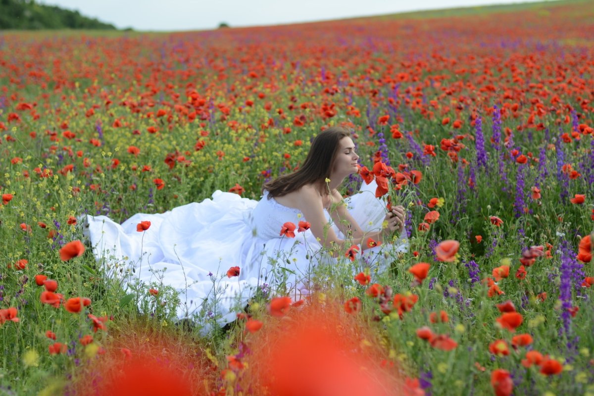 Маковое поле Калининград Нестеров