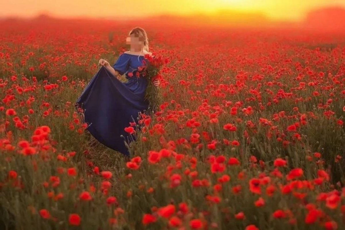 Маковое поле