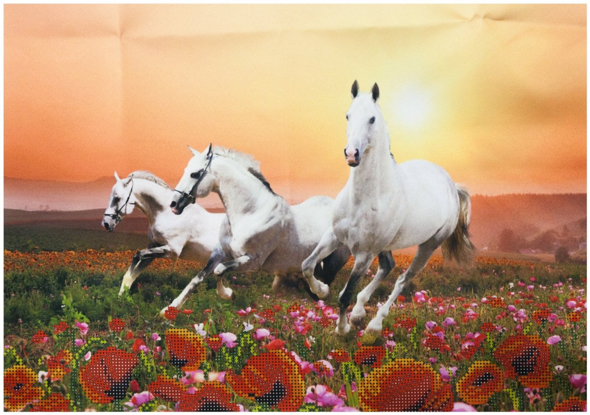 Кони в маковом поле