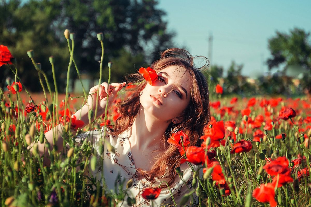 Маковое поле фильм