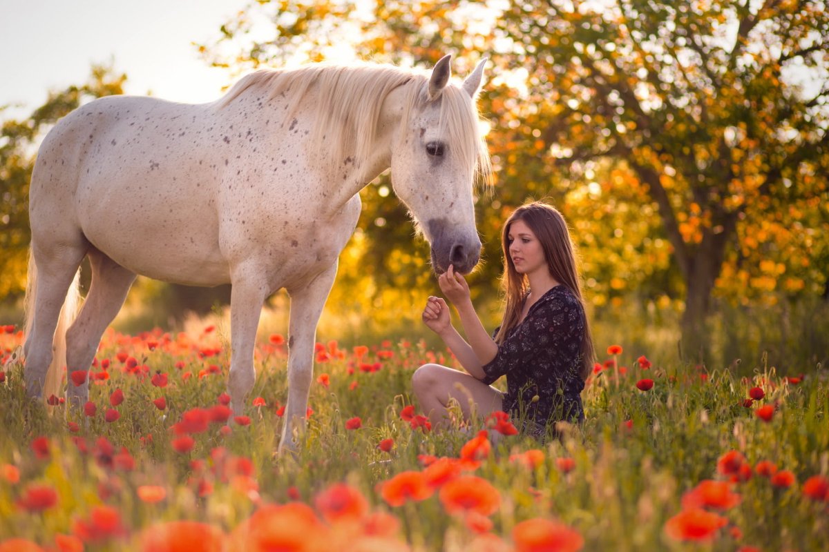 Девушка с лошадью