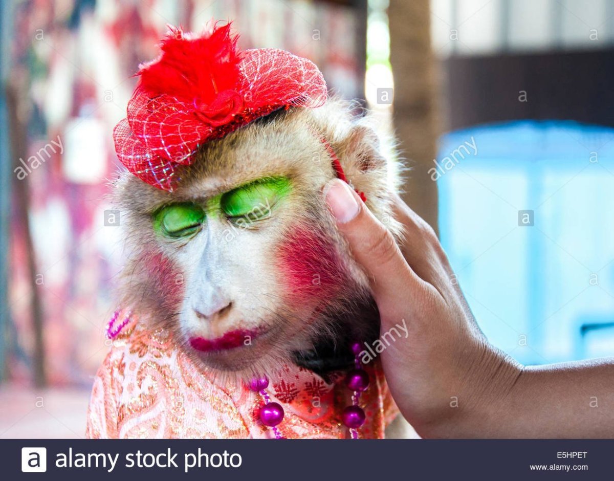 Накрашенная обезьяна