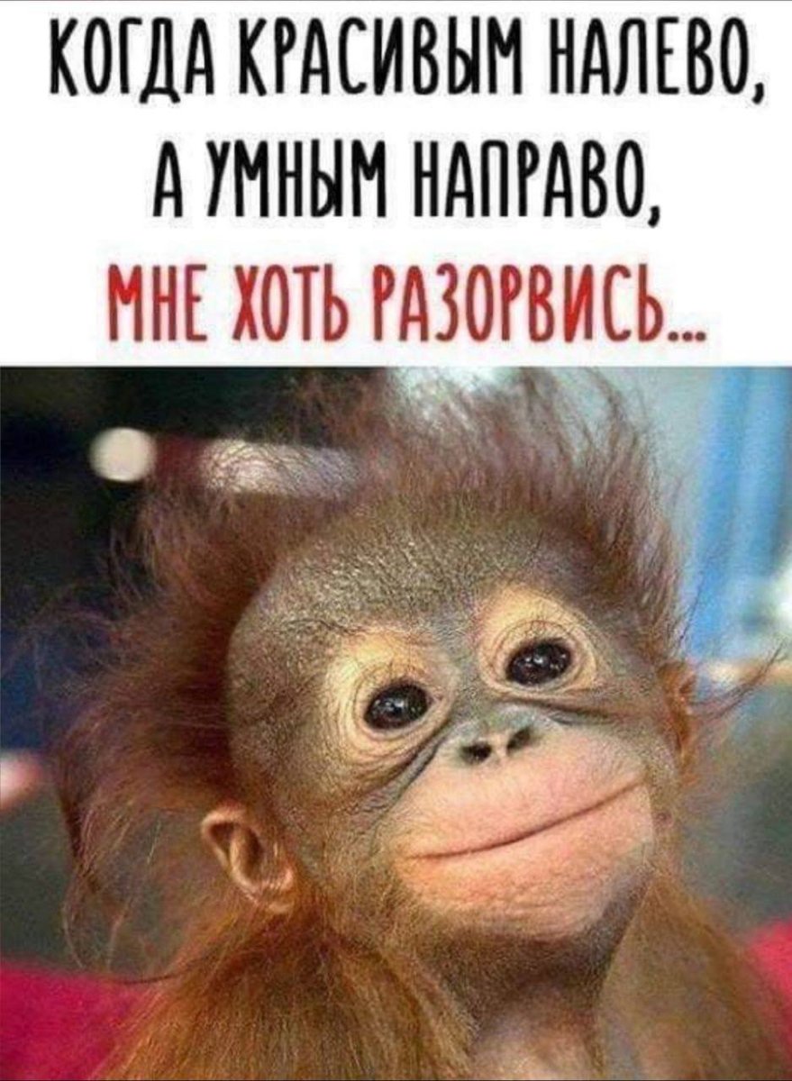 Накрашенная обезьяна