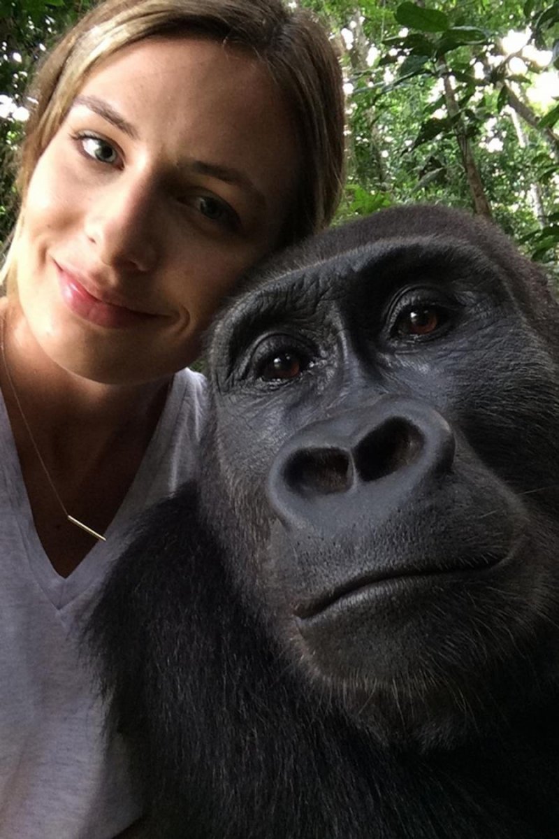 Обезьяна девочка