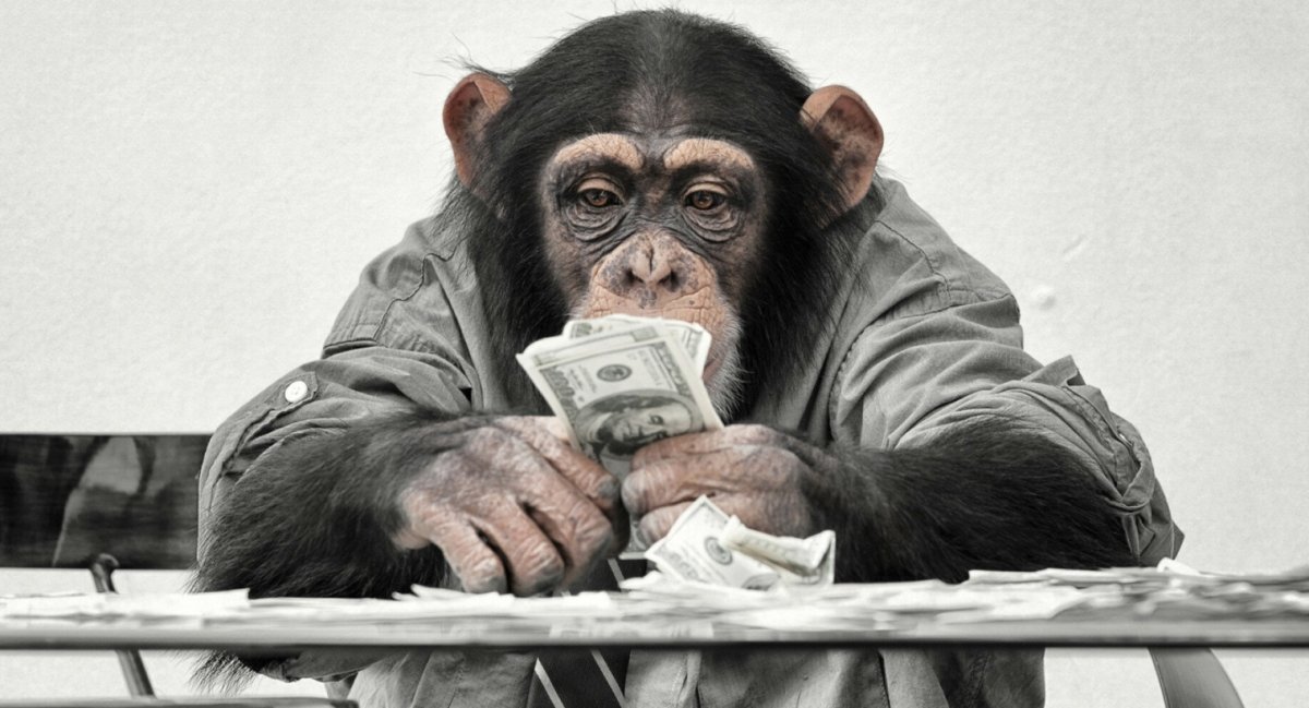 Обезьяна с деньгами