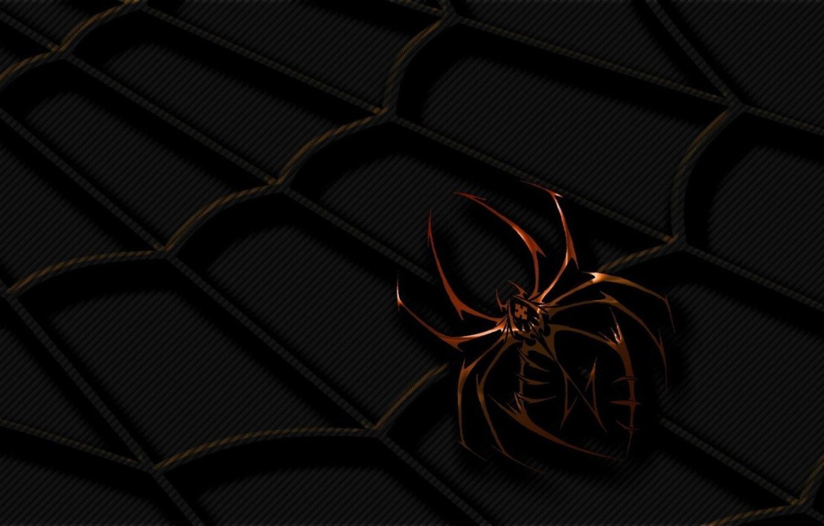 Паук на темном фоне