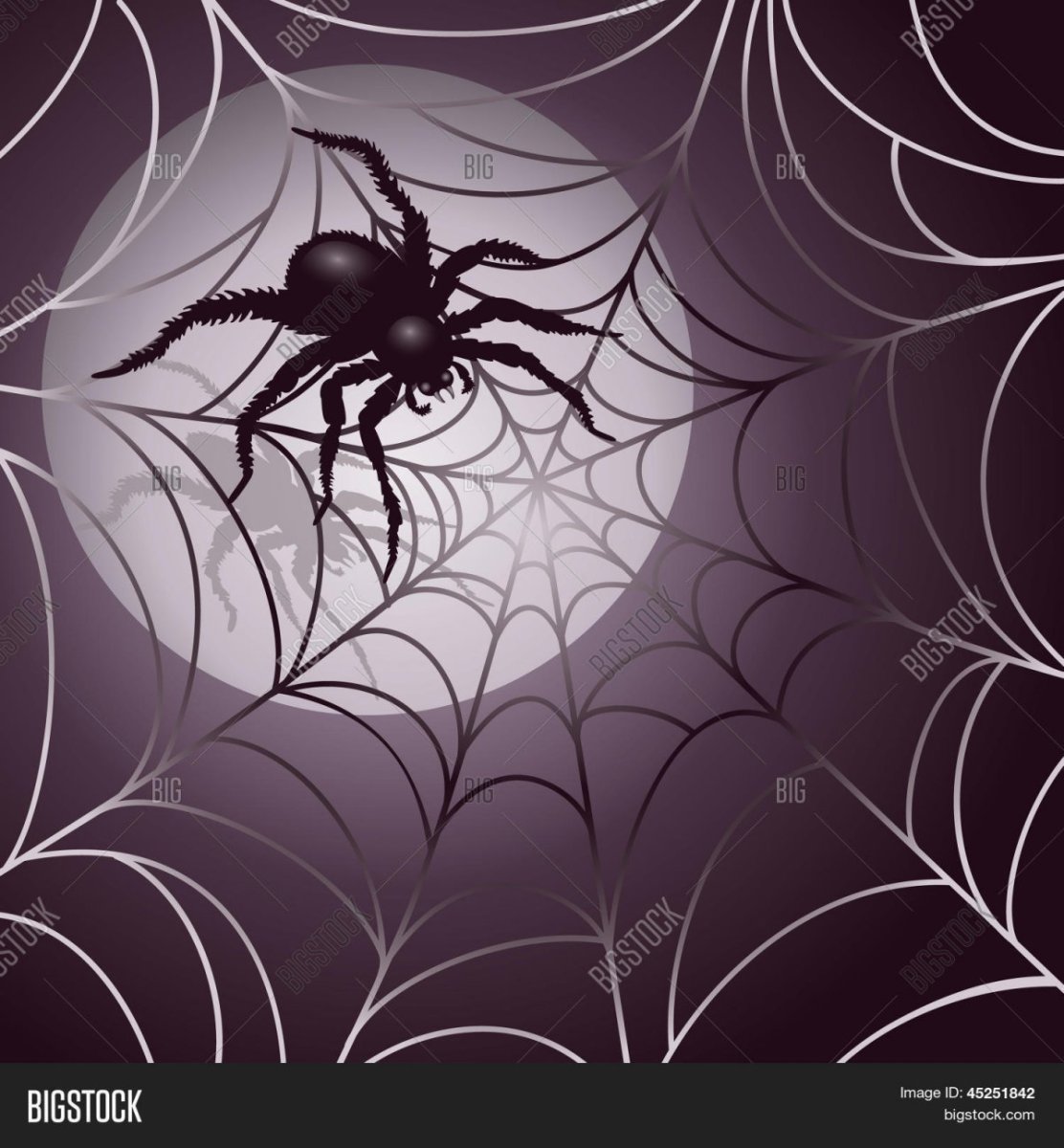 Паук на паутине