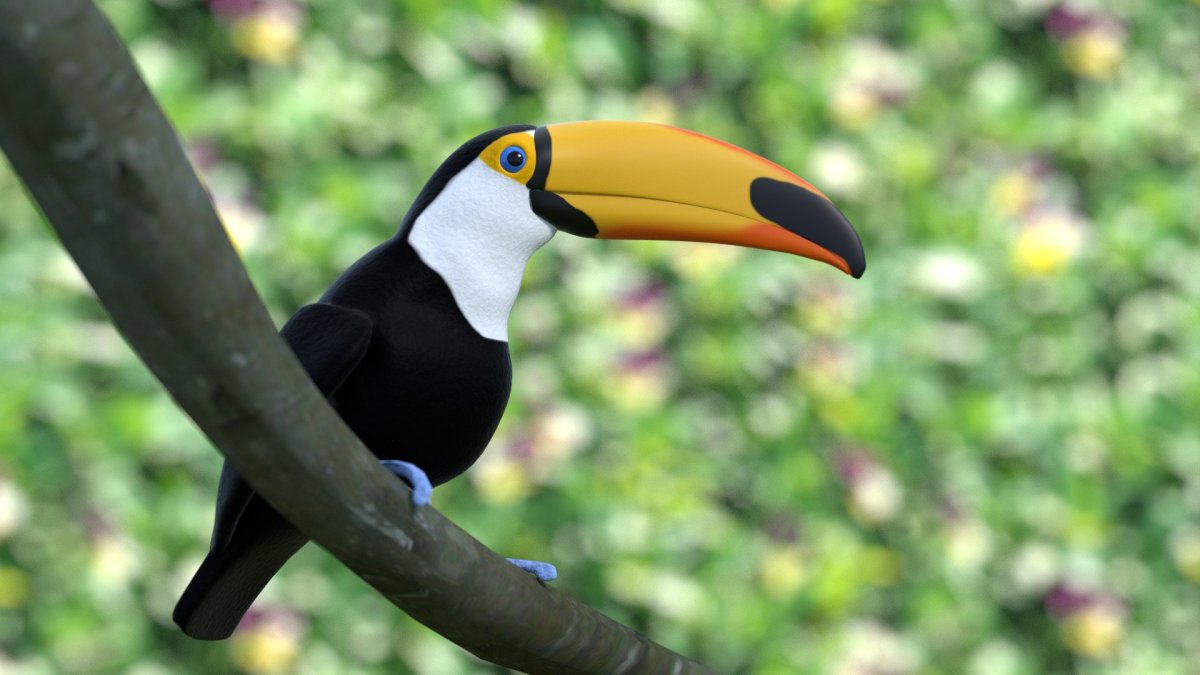 Стая Туканов