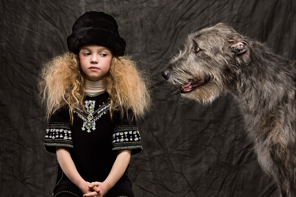 Ирландский волкодав