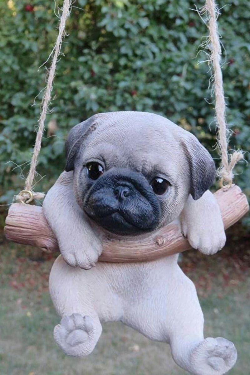 Маленький смешной Мопс