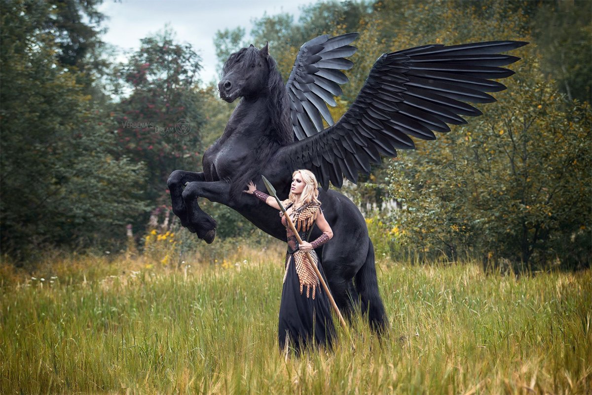 Дарья Лефлер воительница