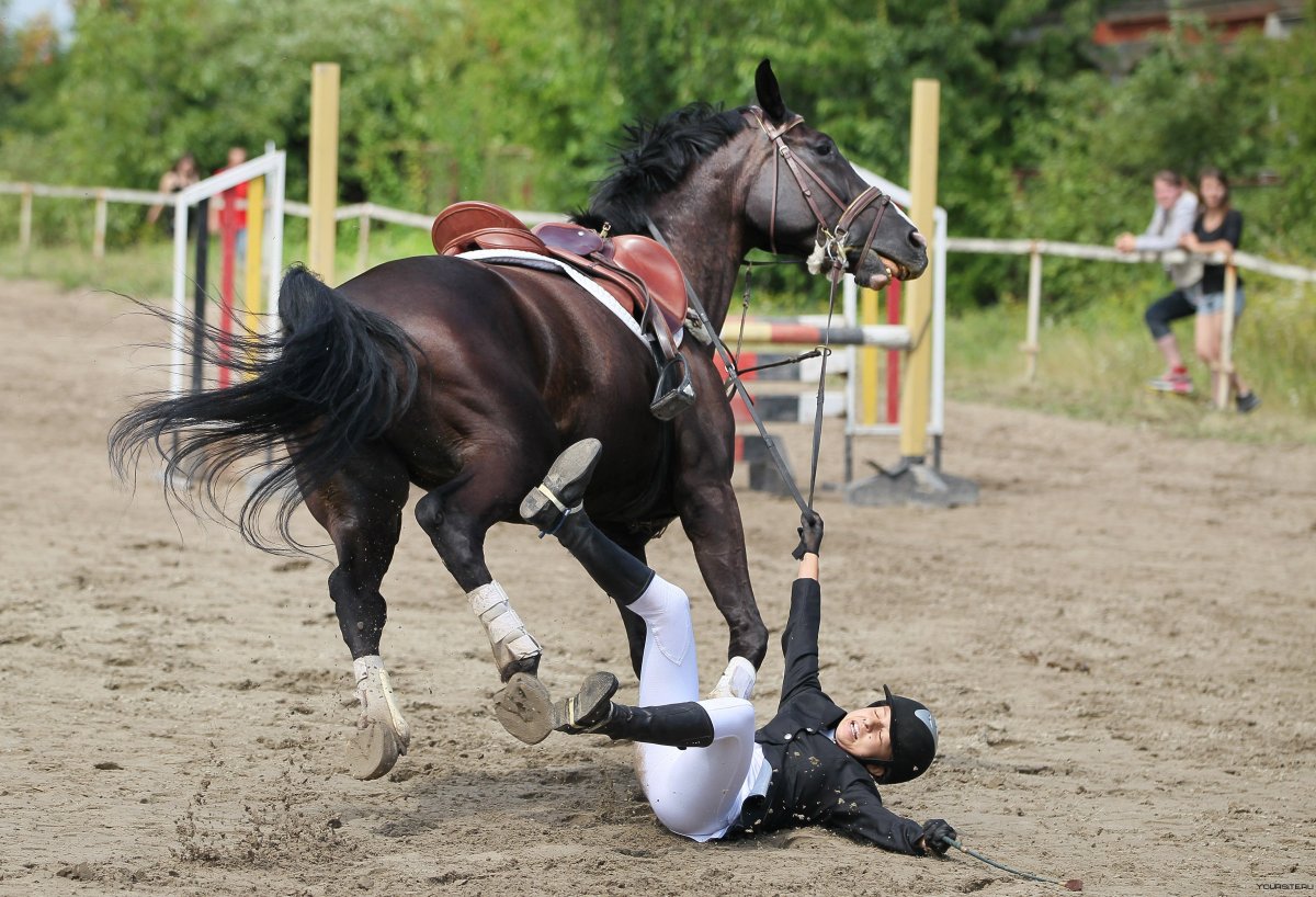 Конный спорт падения