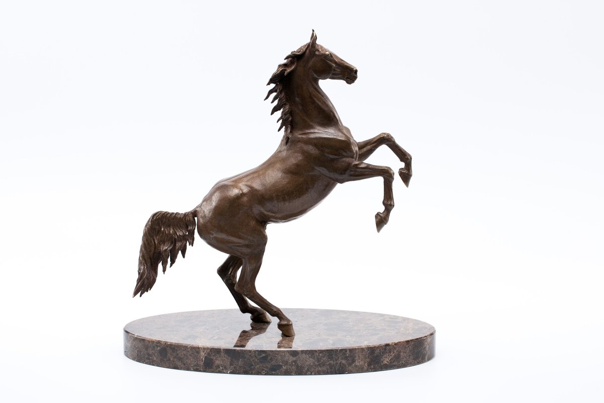 Конь на дыбах