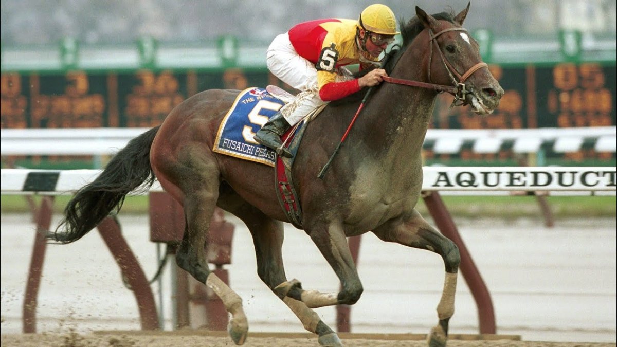 Конь фусаичи пегасус