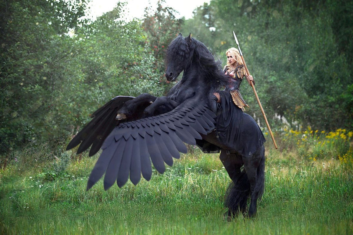 Дарья Лефлер Пегас