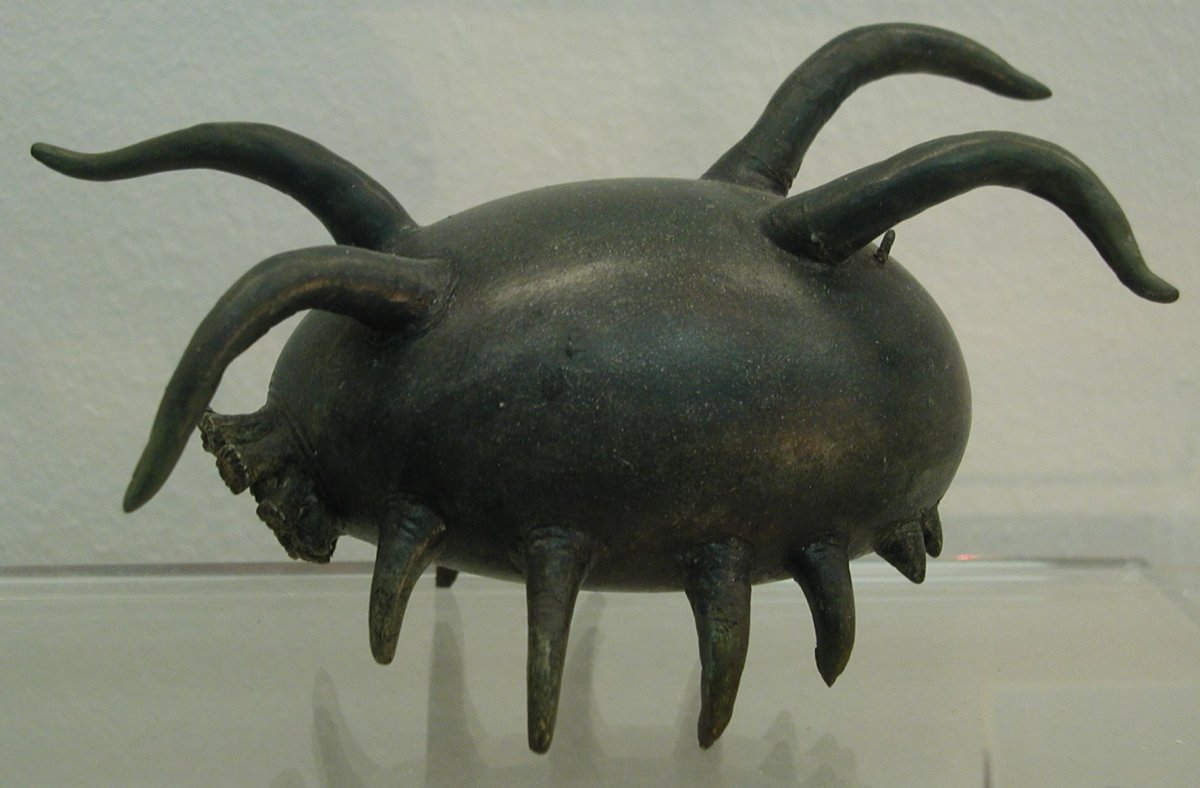 Морская свинья уродливое создание