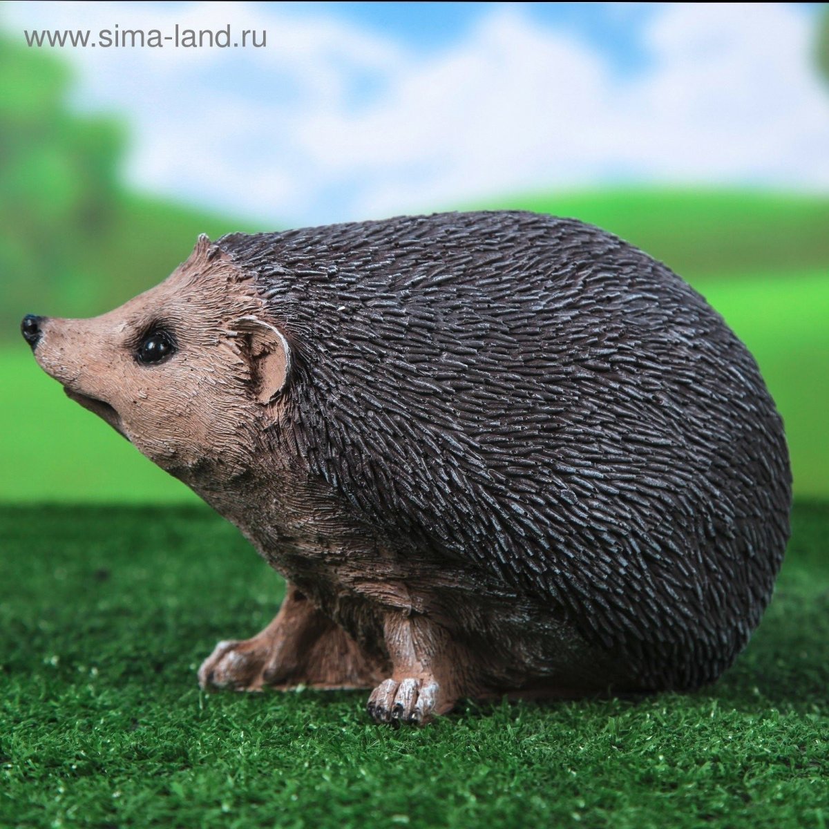 Ежик без иголок