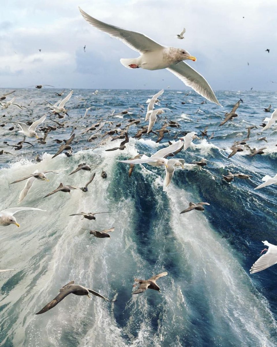 Берингово море