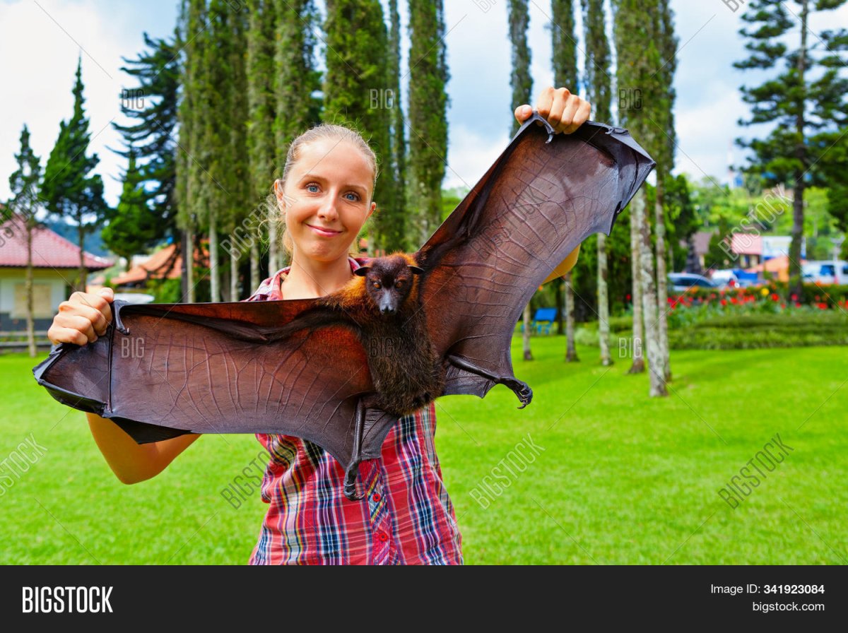 Гигантская летучая рука