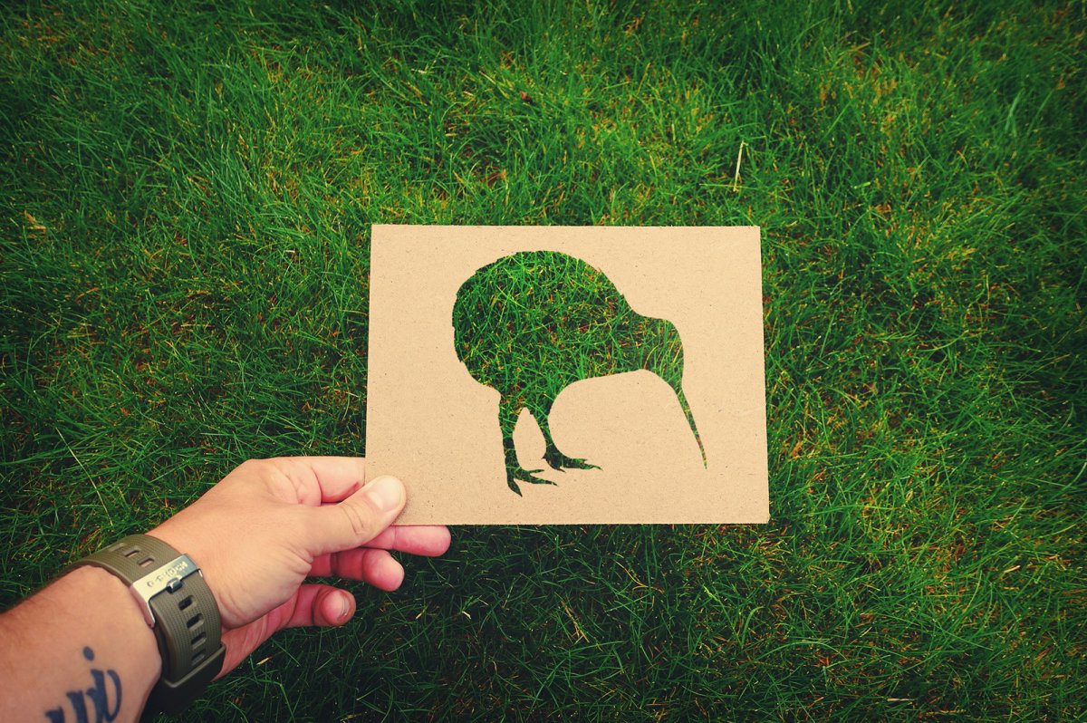 Знак птицы киви