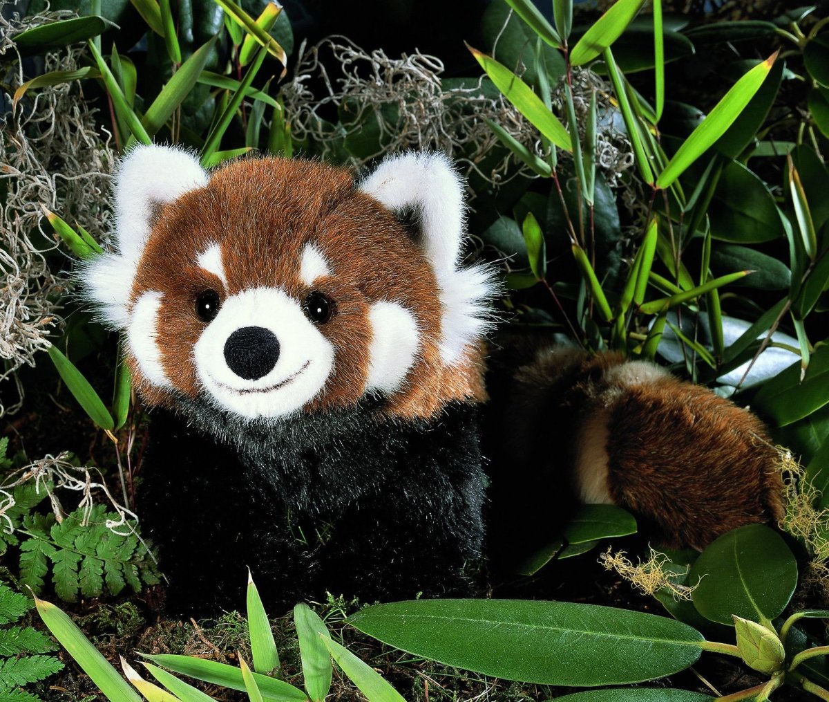 Красная Панда Тедди