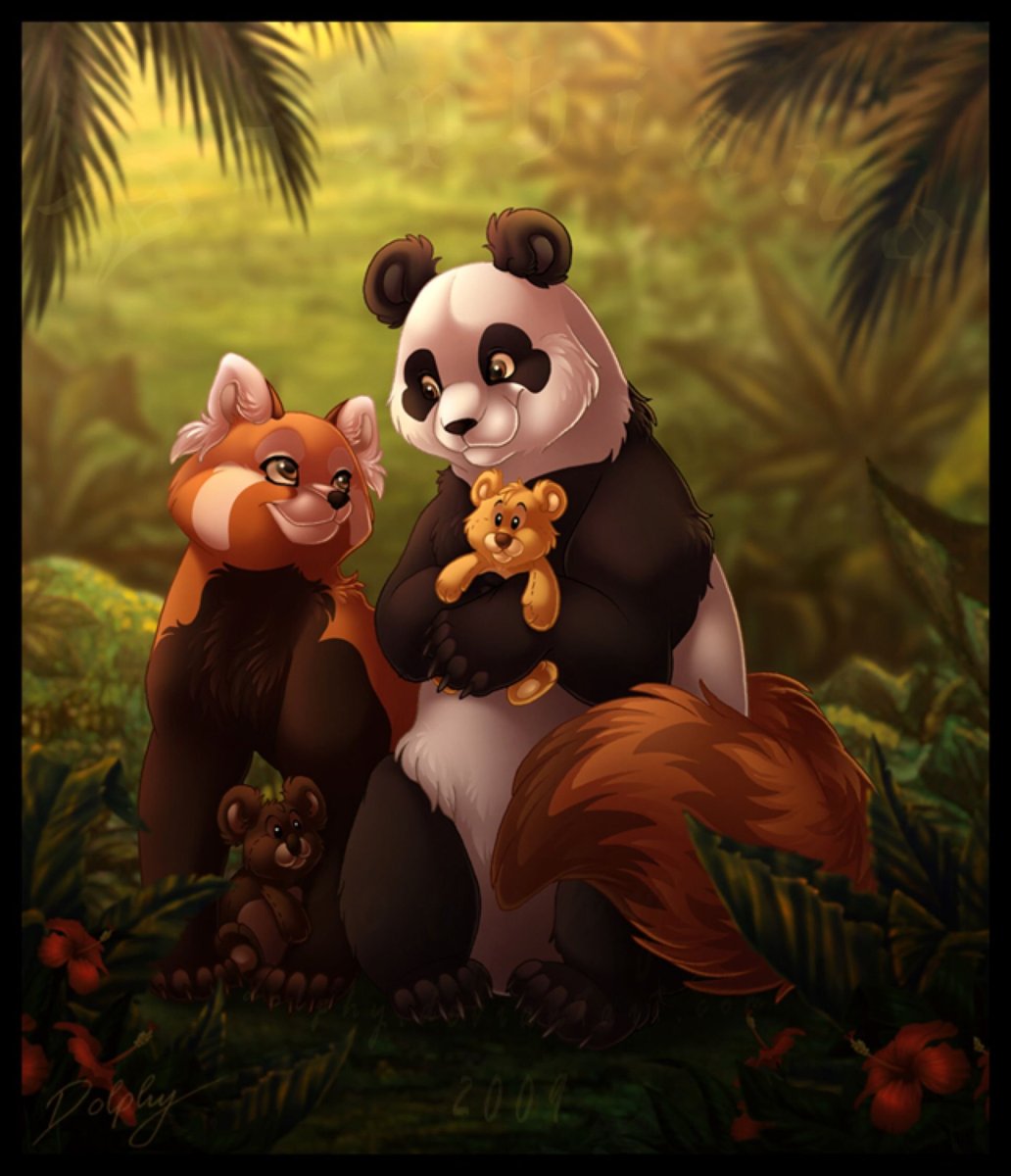 Лис и Панда