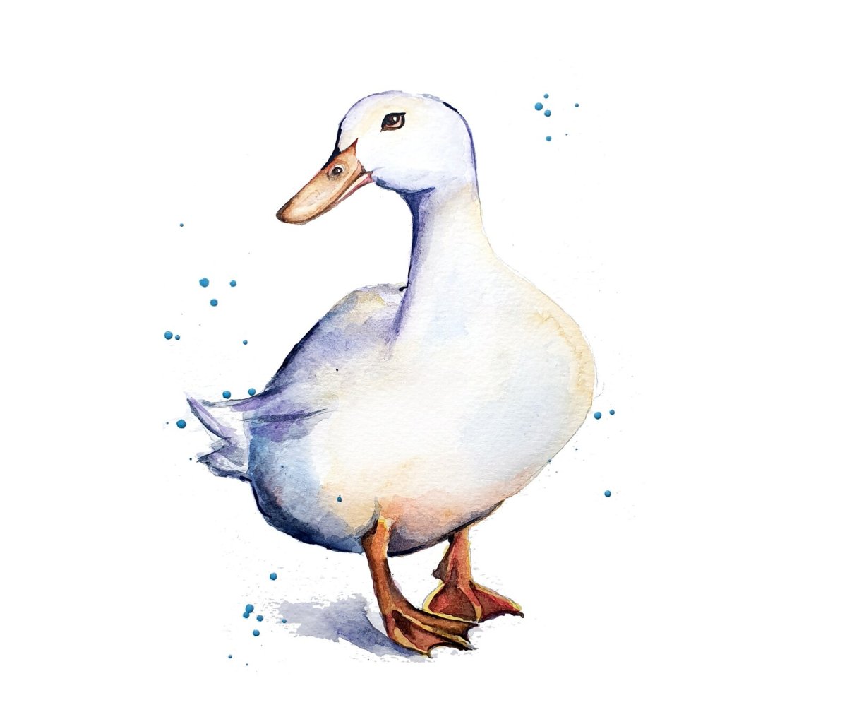 Серая утка с белыми глазами карандашом