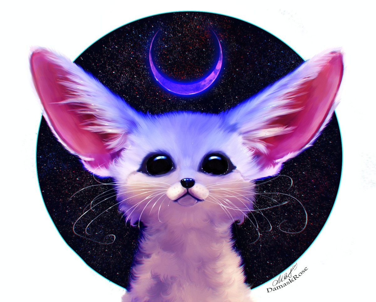 Лиса фенек арт