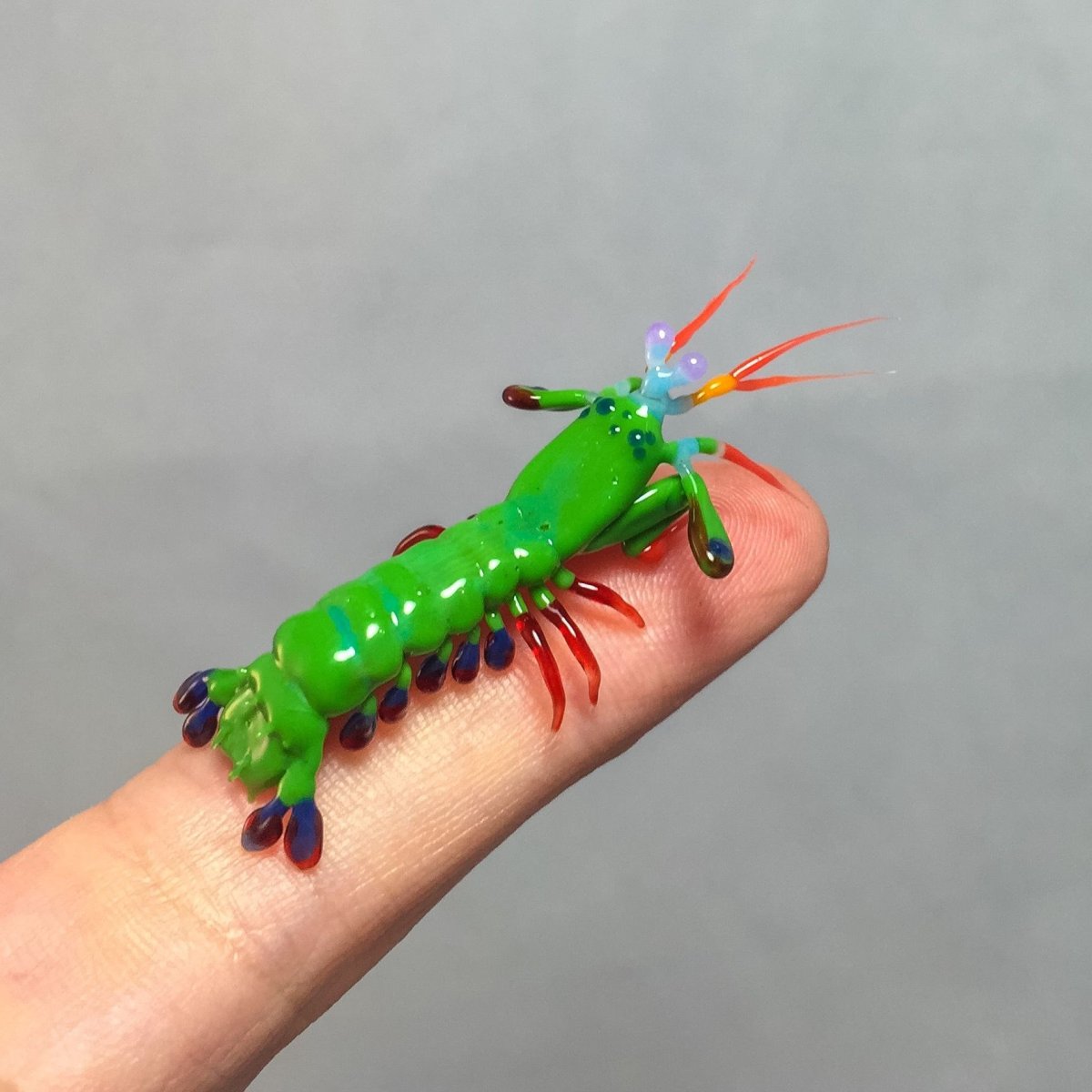 Мантис Шримп