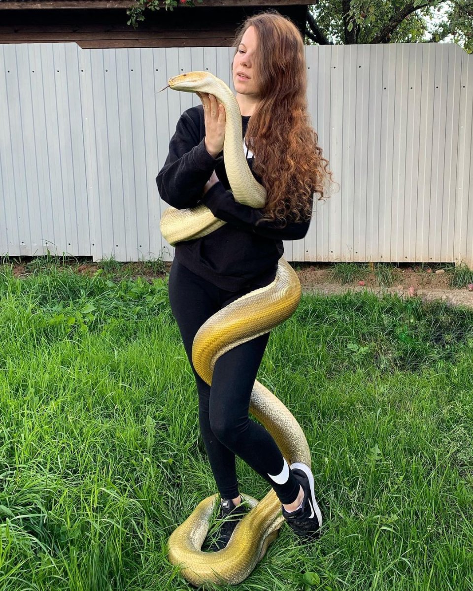 Королева змея