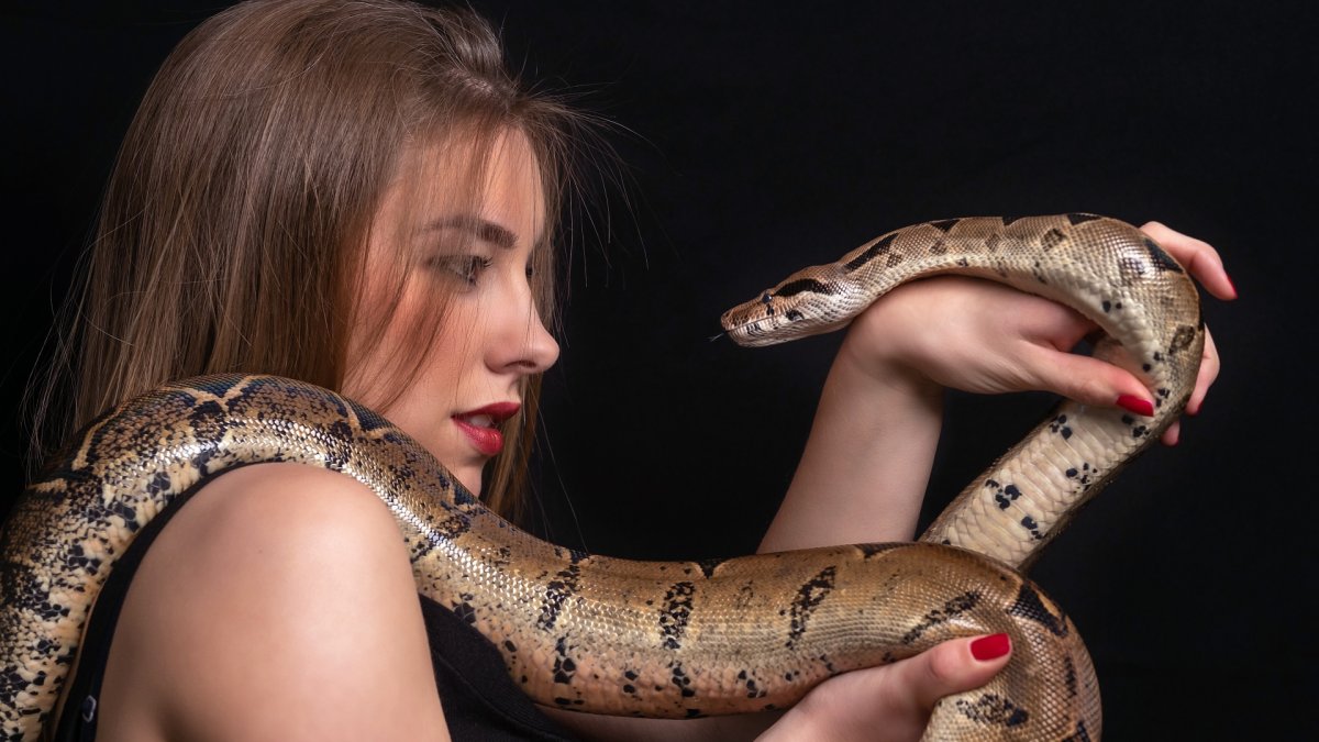 Красивые девушки со змеями