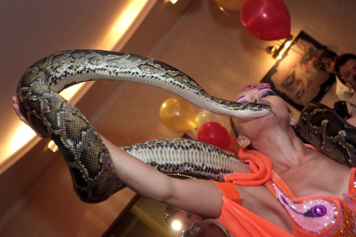 Цирковые номера с змеями