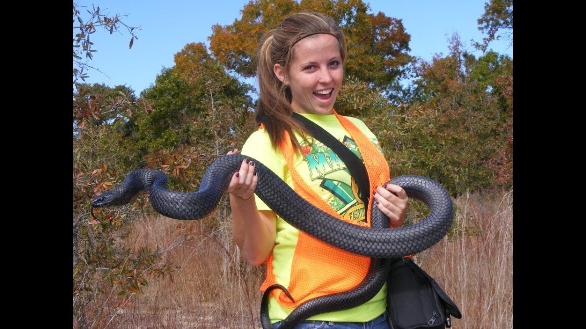 Самые удивительные змеи в мире