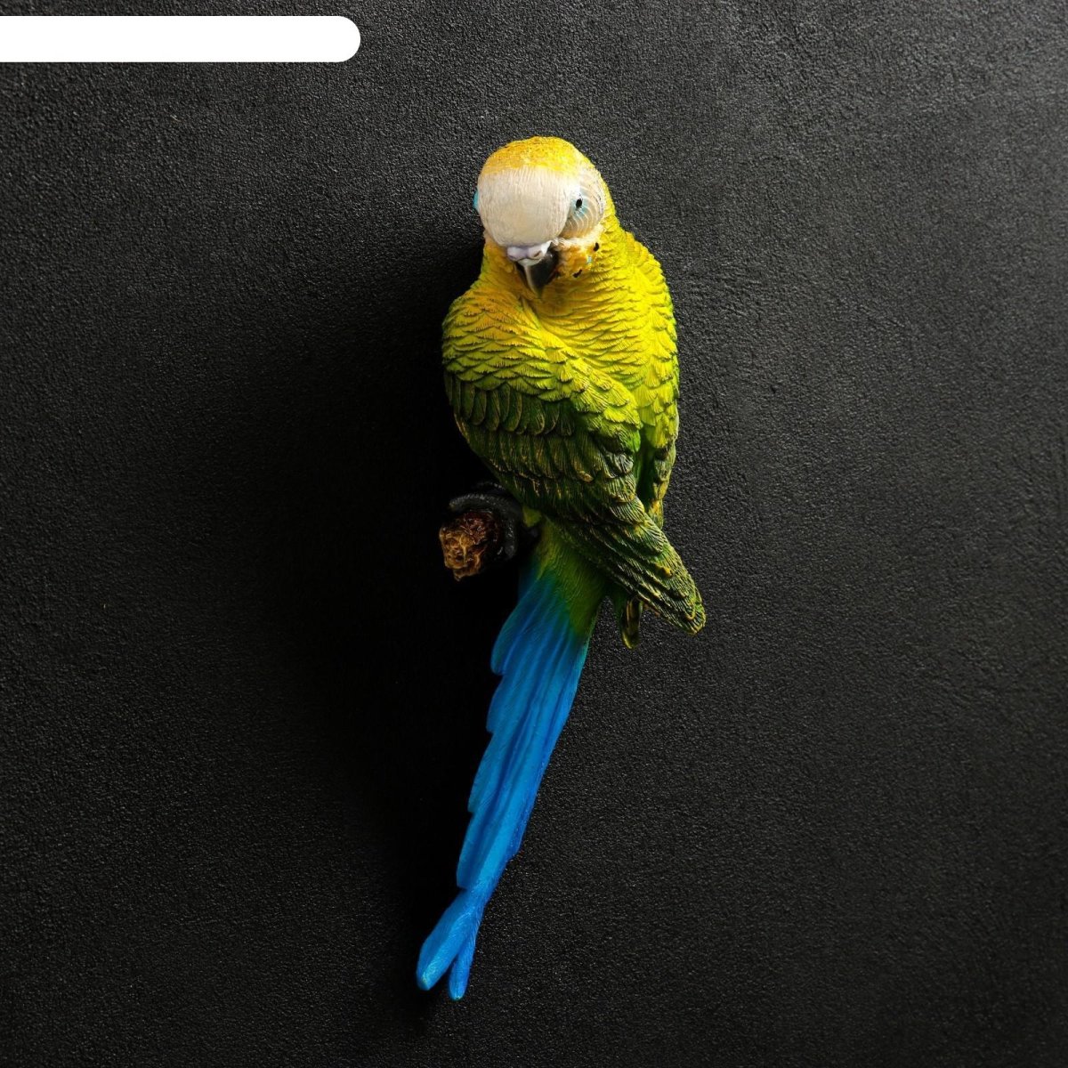 Волнистый попугай выкормыш