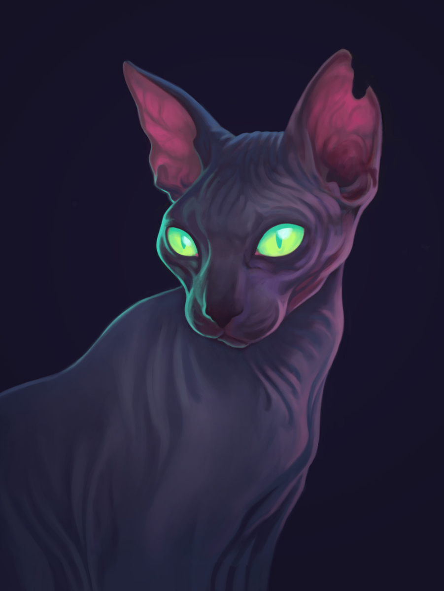 Коты Воители сфинкс