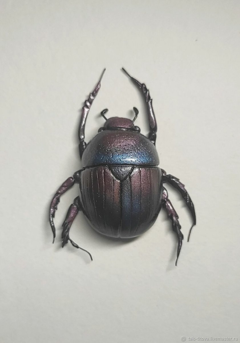 Фиолетовый Жук навозник