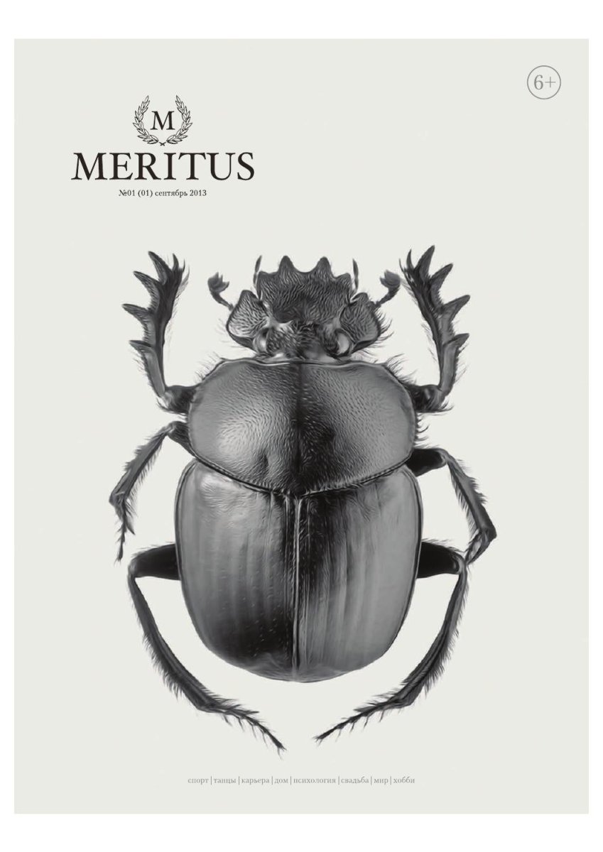 Скарабей строение